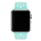 For Apple Watch Series 7 41mm / 6 & SE & 5 & 4 40mm / 3 & 2 & 1 38mm Sport Silicone Watch Band Standard Edition(White Green) - 7