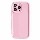 For iPhone 12 Pro Max Fine Hole Shockproof Frame Frosted TPU Phone Case(Pink) - 1