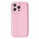 For iPhone 12 Pro Fine Hole Shockproof Frame Frosted TPU Phone Case(Pink) - 1