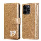 For iPhone 15 Pro Max Glitter Powder Love Leather Phone Case(Gold) - 1