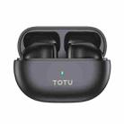 TOTU BE -17-TWS Bluetooth 5.3 Wireless Bluetooth Earphone(Black) - 1