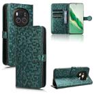 For Honor Magic6 Honeycomb Dot Texture Leather Phone Case(Green) - 1