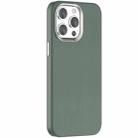 For iPhone 15 Pro Max Mutural Mingdian Series MagSafe Magnetic Phone Case(Green) - 1