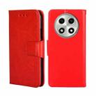 For OPPO A2 Pro 5G Crystal Texture Leather Phone Case(Red) - 1