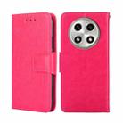 For OPPO A2 Pro 5G Crystal Texture Leather Phone Case(Rose Red) - 1