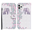 For iPhone 11 Pro Max 3D Painted Pattern Horizontal Flip Leather Case with Holder & Wallet & Card slot & Lanyard(Flower Elephant) - 1