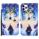 For iPhone 11 Pro Max 3D Painted Pattern Horizontal Flip Leather Case with Holder & Wallet & Card slot & Lanyard(Sunrise Wolf) - 1