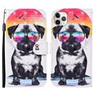 For iPhone 11 Pro Max 3D Painted Pattern Horizontal Flip Leather Case with Holder & Wallet & Card slot & Lanyard(Glasses Dog) - 1