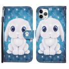 For iPhone 11 Pro Max 3D Painted Pattern Horizontal Flip Leather Case with Holder & Wallet & Card slot & Lanyard(Rabbit) - 1