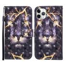 For iPhone 11 Pro 3D Painted Pattern Horizontal Flip Leather Case with Holder & Wallet & Card slot & Lanyard(Thunder Lion) - 1