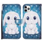 For iPhone 11 Pro 3D Painted Pattern Horizontal Flip Leather Case with Holder & Wallet & Card slot & Lanyard(Rabbit) - 1