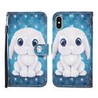 For iPhone XS Max 3D Painted Pattern Horizontal Flip Leather Case with Holder & Wallet & Card slot & Lanyard(Rabbit) - 1