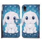 For iPhone XR 3D Painted Pattern Horizontal Flip Leather Case with Holder & Wallet & Card slot & Lanyard(Rabbit) - 1