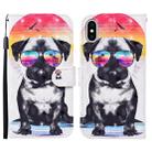 For iPhone X / XS 3D Painted Pattern Horizontal Flip Leather Case with Holder & Wallet & Card slot & Lanyard(Glasses Dog) - 1