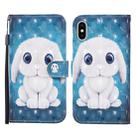 For iPhone X / XS 3D Painted Pattern Horizontal Flip Leather Case with Holder & Wallet & Card slot & Lanyard(Rabbit) - 1