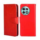 For OnePlus Ace 2 Pro Crystal Texture Leather Phone Case(Red) - 1