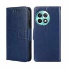For OnePlus Ace 2 Pro Crystal Texture Leather Phone Case(Royal Blue) - 1