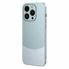 For iPhone 15 Pro Max Two Color Frosted Shockproof Phone Case(Cyan) - 1