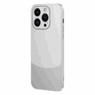 For iPhone 15 Pro Max Two Color Frosted Shockproof Phone Case(Silver) - 1