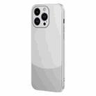 For iPhone 13 Pro Max Two Color Frosted Shockproof Phone Case(Silver) - 1