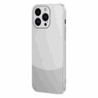 For iPhone 13 Pro Two Color Frosted Shockproof Phone Case(Silver) - 1