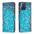 For Motorola Moto G Play 2024 Colored Drawing Pattern Leather Phone Case(Plum Blossom) - 1