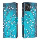 For Motorola Moto G Power 5G Colored Drawing Pattern Leather Phone Case(Plum Blossom) - 1