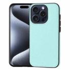 For iPhone 15 Pro Max Litchi Pattern Stitched Side-mounted Phone Case(Mint Green) - 1