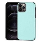 For iPhone 12 Pro Max Litchi Pattern Stitched Side-mounted Phone Case(Mint Green) - 1