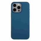 For iPhone 15 Pro Max Wheat Straw Material + TPU Phone Case(Blue) - 1