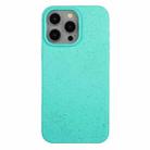 For iPhone 12 Pro Max Wheat Straw Material + TPU Phone Case(Green) - 1