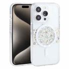 For iPhone 15 Pro Max DFANS DESIGN Magsafe Magnetic Starlight Shining Phone Case(Silver Foil Shell) - 1