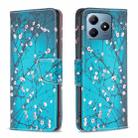 For Realme C61 / C63 Colored Drawing Pattern Leather Phone Case(Plum Blossom) - 1