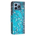 For Realme C61 / C63 Colored Drawing Pattern Leather Phone Case(Plum Blossom) - 3