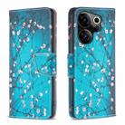 For Tecno Camon 20 Premier Colored Drawing Pattern Leather Phone Case(Plum Blossom) - 1