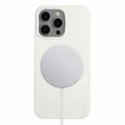 For iPhone 15 Pro Max Wheat MagSafe Magnetic Straw Material + TPU Phone Case(White) - 1