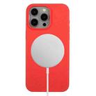 For iPhone 15 Pro Max Wheat MagSafe Magnetic Straw Material + TPU Phone Case(Red) - 1