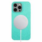 For iPhone 12 Pro Max Wheat MagSafe Magnetic Straw Material + TPU Phone Case(Green) - 1