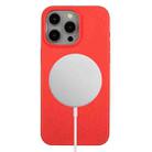 For iPhone 11 Pro Max Wheat MagSafe Magnetic Straw Material + TPU Phone Case(Red) - 1