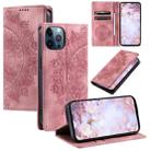 For iPhone 12 / 12 Pro Totem Embossed Magnetic Leather Phone Case(Rose Gold) - 1
