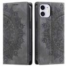 For iPhone 11 Totem Embossed Magnetic Leather Phone Case(Grey) - 1