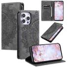 For iPhone 16 Pro Max Totem Embossed Magnetic Leather Phone Case(Grey) - 1