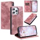 For iPhone 16 Pro Max Totem Embossed Magnetic Leather Phone Case(Rose Gold) - 1