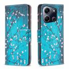 For Infinix Note 30i Colored Drawing Pattern Leather Phone Case(Plum Blossom) - 1