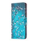 For Infinix Hot 40i Colored Drawing Pattern Leather Phone Case(Plum Blossom) - 2