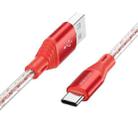 Borofone BX96 USB to USB-C / Type-C Silicone Charging Data Cable, Length: 1m(Red) - 1