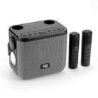 T&G TG545DK Home Handheld Dual-microphone KTV Wireless Bluetooth Speaker with Flashlight(Grey) - 1