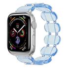 For Apple Watch Series 6 44mm Stretch Resin Watch Band(Transparent Blue) - 1
