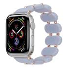 For Apple Watch Series 2 42mm Stretch Resin Watch Band(Blue Ocean) - 1