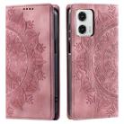 For Motorola Moto G73 Totem Embossed Magnetic Leather Phone Case(Rose Gold) - 1